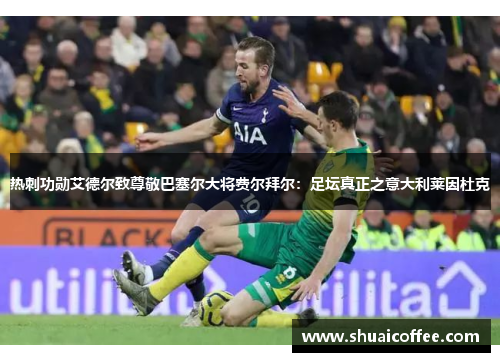 热刺功勋艾德尔致尊敬巴塞尔大将费尔拜尔：足坛真正之意大利莱因杜克